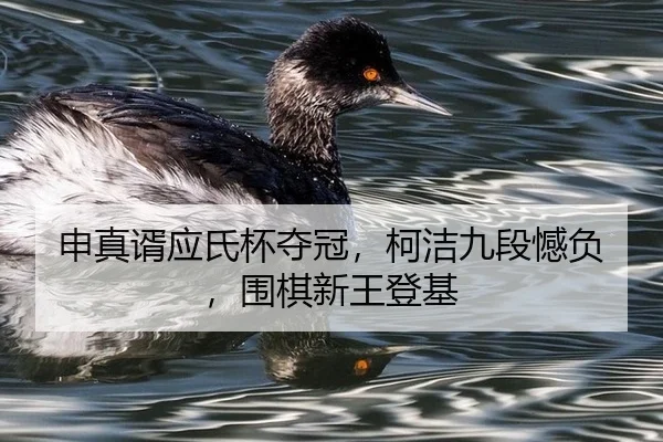 申真谞应氏杯夺冠，柯洁九段憾负，围棋新王登基