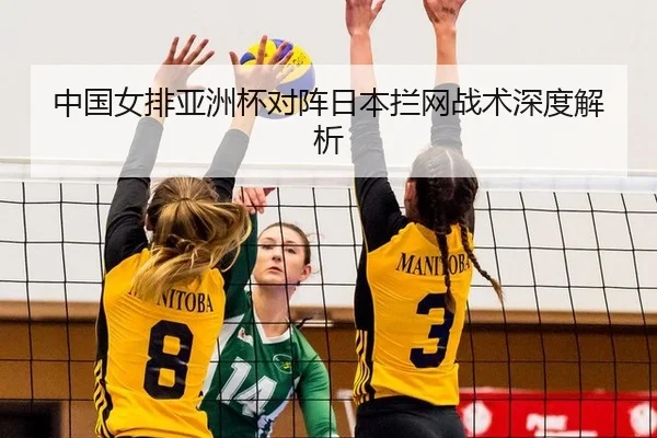 中国女排亚洲杯对阵日本拦网战术深度解析